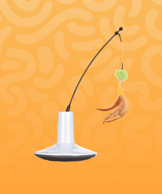 toy shop causeway bay - faq customer service adult store hong kong